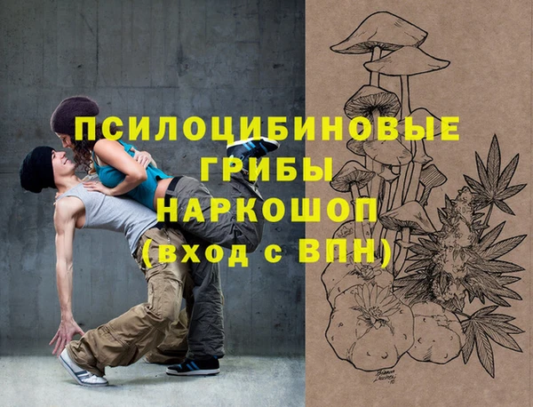 a pvp Богородск