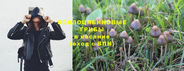 первитин Белоозёрский